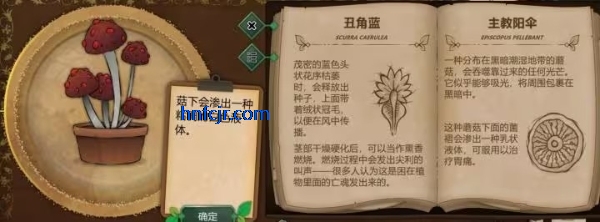 奇异园艺手游最新版