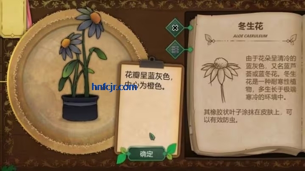 奇异园艺手游最新版